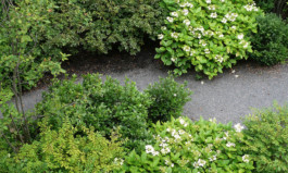 KuhnLandschaftsarchitekten