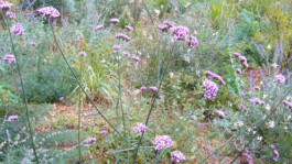 KuhnLandschaftsarchitekten