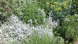 KuhnLandschaftsarchitekten