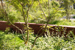 KuhnLandschaftsarchitekten