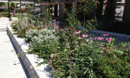 KuhnLandschaftsarchitekten