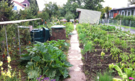 KuhnLandschaftsarchitekten