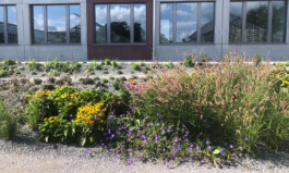 KuhnLandschaftsarchitekten